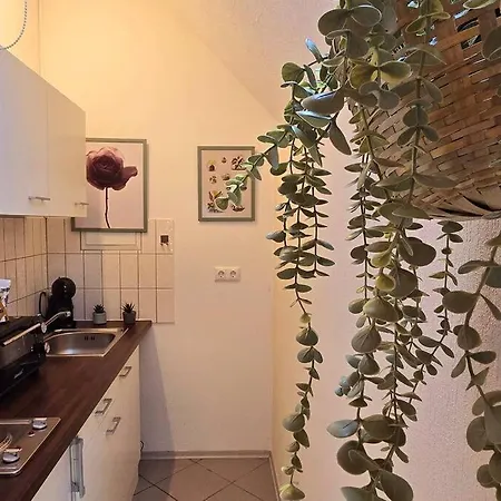 Oase - Mis Apartment