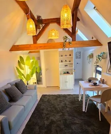 Oase - Mis Apartment