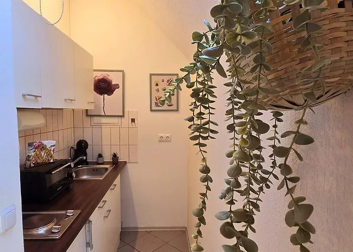 Oase - Mis Apartamento