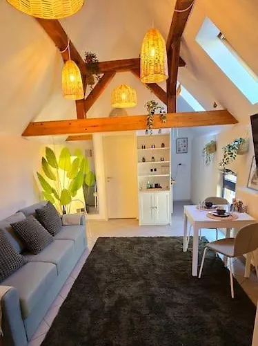 Oase - Mis Apartamento